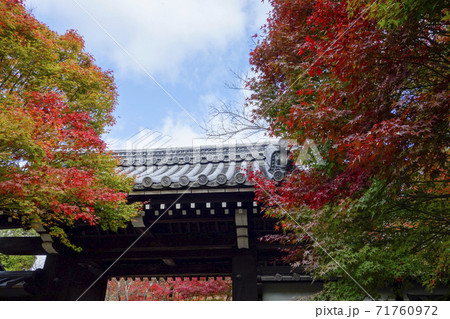 京都　龍安寺　秋の季節　 71760972