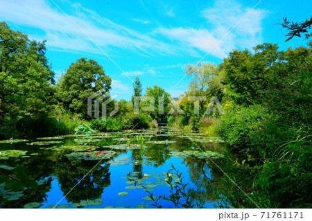 北川村のモネの庭 71761171