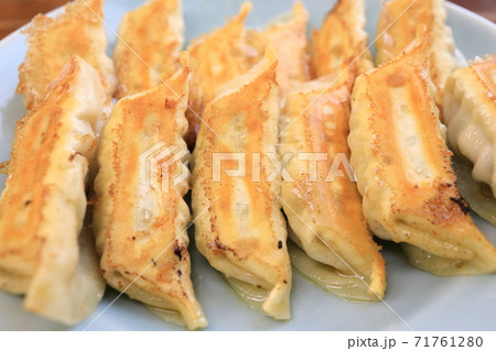 おいしい宇都宮の焼餃子 おいしい宇都宮の焼餃子 71761280