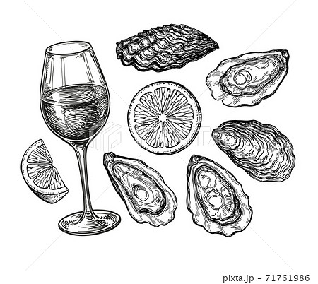 Ink sketch of wineglass and oysters. 71761986