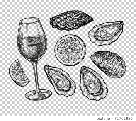 Ink sketch of wineglass and oysters. 71761986