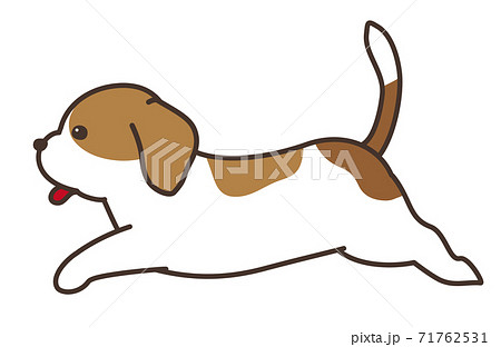 走る犬 ビーグル犬のイラスト素材