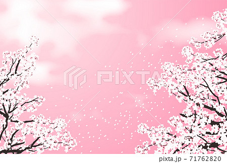 桜 桜吹雪 ピンクのイラスト素材 7176