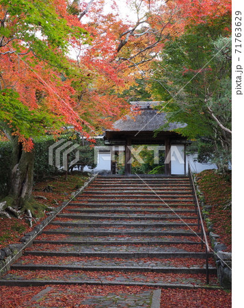 京都　安楽寺の紅葉 71763629