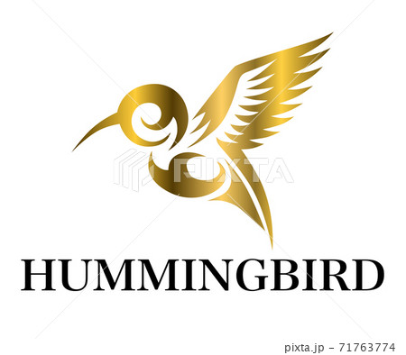 Golden Vector illustration on a white background of flying hummingbird. Suitable for making logos. Golden Vector illustration on a white background of flying hummingbird. Suitable for making logos. 71763774