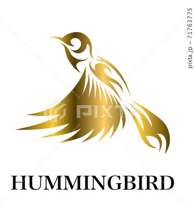 Golden Vector illustration on a white background of flying hummingbird. Suitable for making logos.	 71763775