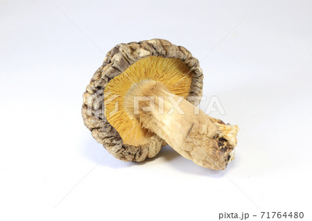 干し椎茸 71764480