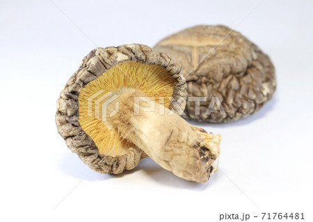 2つの干し椎茸 71764481