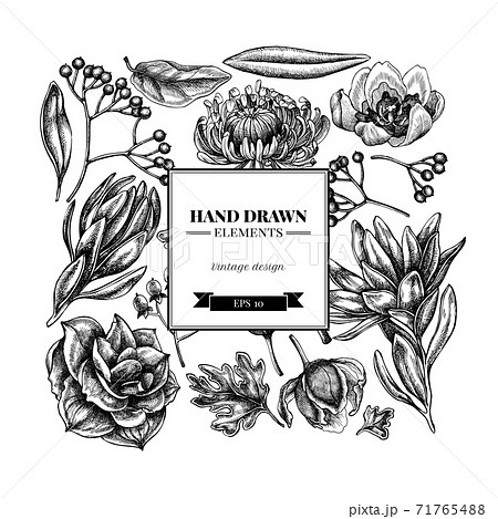 Square Floral Design With Black And White のイラスト素材