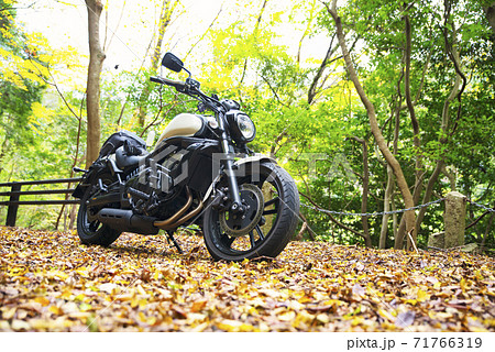 バイクライフ　紅葉ツーリング　静岡県 71766319