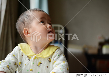 見上げる赤ちゃん 見上げる赤ちゃん 71767767