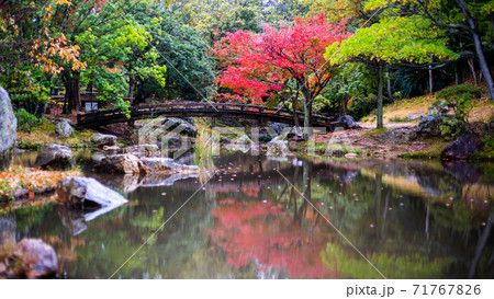 浜松城庭園池の紅葉 71767826