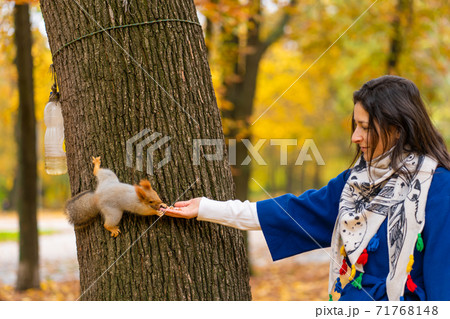A squirrel sitting on a tree trunk takes nuts from a person's hand in an autumn park A squirrel sitting on a tree trunk takes nuts from a person's hand in an autumn park 71768148