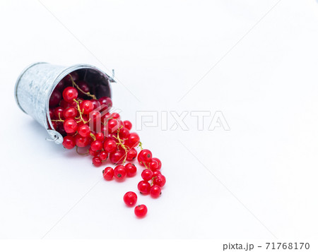 A metal basin filled with red currants 71768170