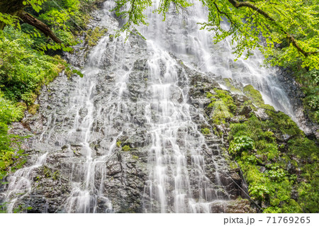 Summer view of the beautiful Ryusogadaki waterfall, Fukui Prefecture, Japan. Summer view of the beautiful Ryusogadaki waterfall, Fukui Prefecture, Japan. 71769265