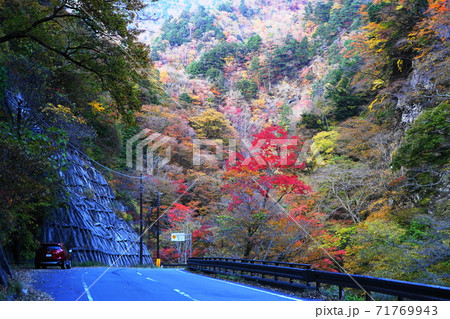 11月　秩父106中津峡の紅葉･奥秩父 71769943