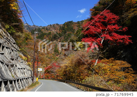 11月　秩父105中津峡の紅葉･奥秩父 71769945