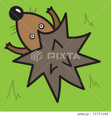 Vector illustration, hedgehog on a green background, top view Vector illustration, hedgehog on a green background, top view 71771168