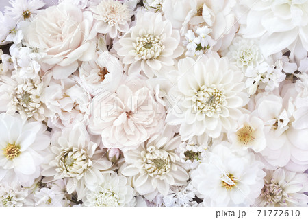 Delicate blossoming white flowers, blooming roses and dahlias festive background, wedding bouquet pastel floral card, toned Delicate blossoming white flowers, blooming roses and dahlias festive background, wedding bouquet pastel floral card, toned 71772610