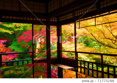 京都市左京区の瑠璃光院と紅葉の風景、京都、秋、季節【11月】 京都市左京区の瑠璃光院と紅葉の風景、京都、秋、季節【11月】 71773288