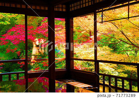 京都市左京区の瑠璃光院と紅葉の風景、京都、秋、季節【11月】 京都市左京区の瑠璃光院と紅葉の風景、京都、秋、季節【11月】 71773289