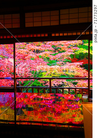 京都市左京区の瑠璃光院と紅葉の風景、京都、秋、季節【11月】 京都市左京区の瑠璃光院と紅葉の風景、京都、秋、季節【11月】 71773297