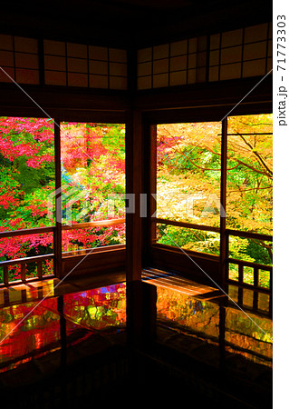京都市左京区の瑠璃光院と紅葉の風景、京都、秋、季節【11月】 71773303