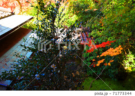 京都市左京区の瑠璃光院と紅葉の風景、京都、秋、季節【11月】 71773344