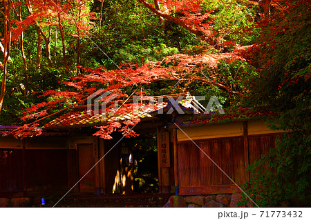 京都市左京区の瑠璃光院と紅葉の風景、京都、秋、季節【11月】 京都市左京区の瑠璃光院と紅葉の風景、京都、秋、季節【11月】 71773432