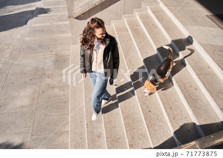 Woman looking at her dog Woman looking at her dog 71773875