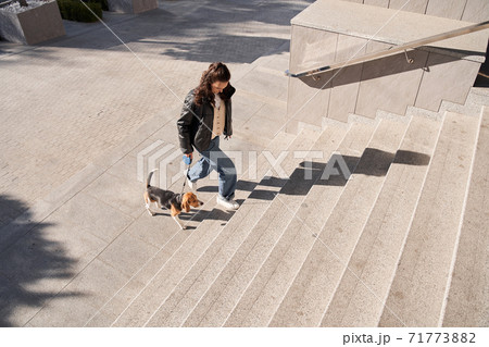 Woman walking up stairs with her dog Woman walking up stairs with her dog 71773882