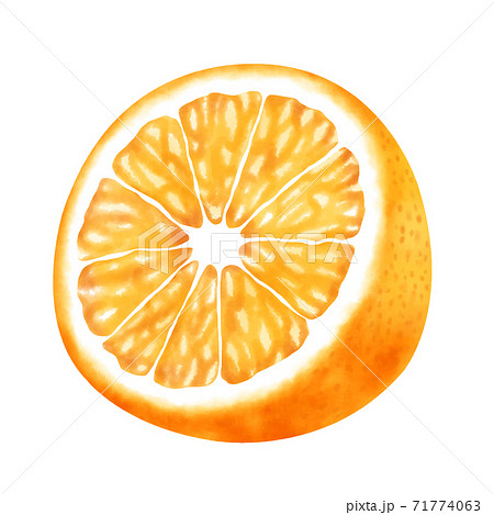 水彩イラスト オレンジ 半分のイラスト素材