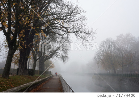 View of autumnal trees in border the river by foggy day in Mulhouse - France View of autumnal trees in border the river by foggy day in Mulhouse - France 71774400
