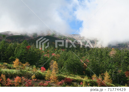 御嶽山の紅葉 71774429