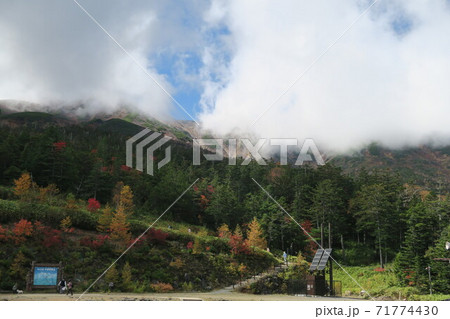 御嶽山の紅葉 71774430