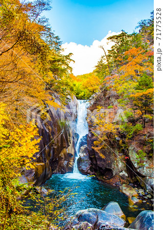 秋の紅葉豊かな山梨県甲府市にある昇仙峡の仙娥滝 71775528