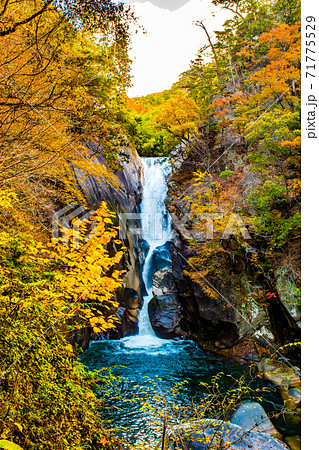 秋の紅葉豊かな山梨県甲府市にある昇仙峡の仙娥滝の写真素材