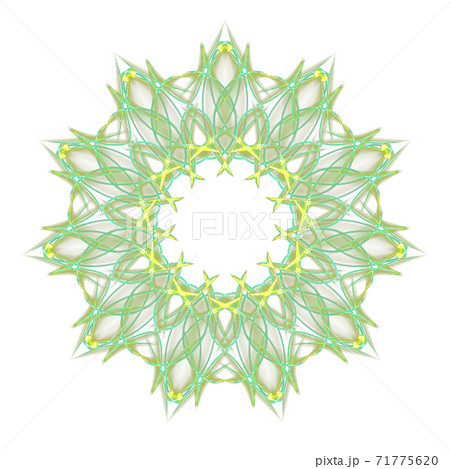 美しい十一角形(背景透過PNG)　20201123_016 71775620