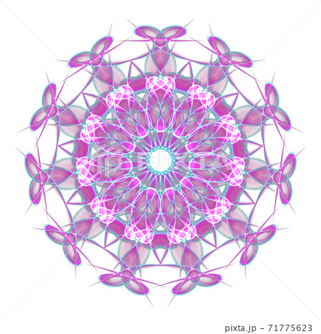 美しい十一角形(背景透過PNG) 20201123_019 美しい十一角形(背景透過PNG) 20201123_019 71775623