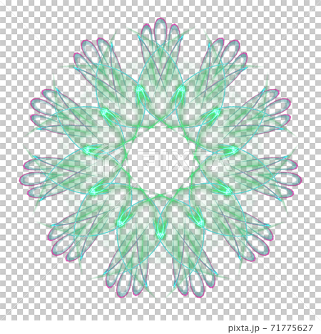 美しい十一角形(背景透過PNG)　20201123_013 71775627