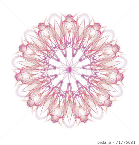 美しい十一角形(背景透過PNG) 20201123_009 美しい十一角形(背景透過PNG) 20201123_009 71775631