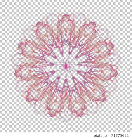 美しい十一角形(背景透過PNG) 20201123_009 美しい十一角形(背景透過PNG) 20201123_009 71775631