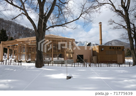 札幌市円山動物園（類人猿館） 71775639