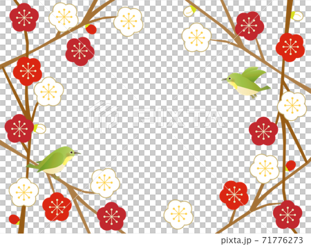 Plum 77 Plum and bird Plum 77 Plum and bird 71776273