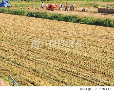 日本の農業 家族農業 小規模 手作業 イメージ 素材 背景 日本の農業 家族農業 小規模 手作業 イメージ 素材 背景 71776337