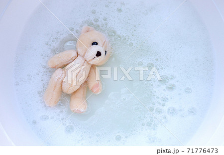Soak toy bear in laundry detergent water dissolution before washing. Laundry concept, Top view Soak toy bear in laundry detergent water dissolution before washing. Laundry concept, Top view 71776473
