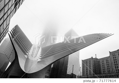 Low angle view of the World Trade Centre in Manhattan, New York Low angle view of the World Trade Centre in Manhattan, New York 71777614