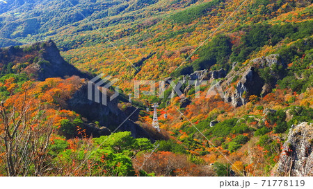 紅葉の小豆島寒霞渓15 紅葉の小豆島寒霞渓15 71778119