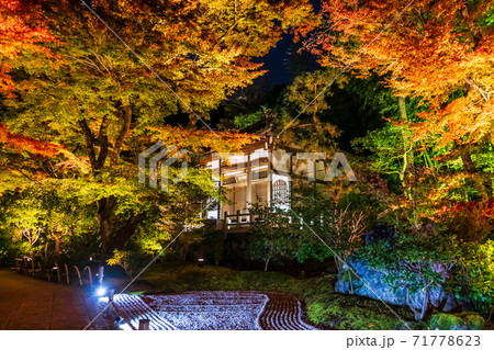 宝厳院 夜間特別拝 宝厳院 夜間特別拝 71778623