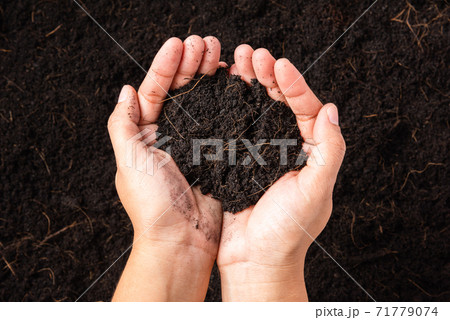 woman hand holding compost fertile black soil background 71779074
